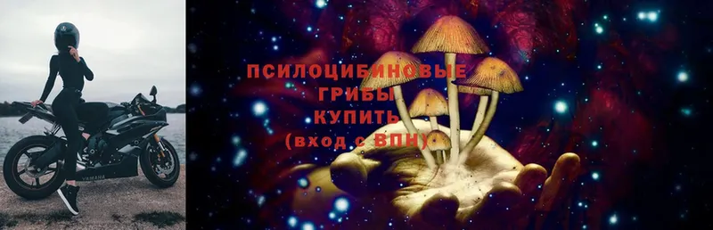 Галлюциногенные грибы Cubensis  Тавда 